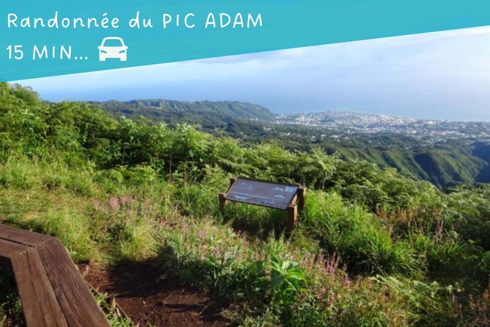 Apartamento Entree Autonome-Ste Clotilde-Parking Saint-Denis Exterior foto